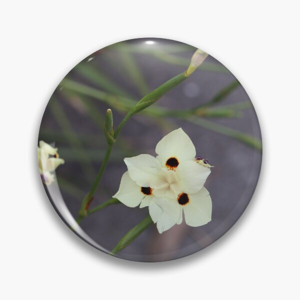 Item preview, Australian Yellow Iris designed and sold by STHogan2.