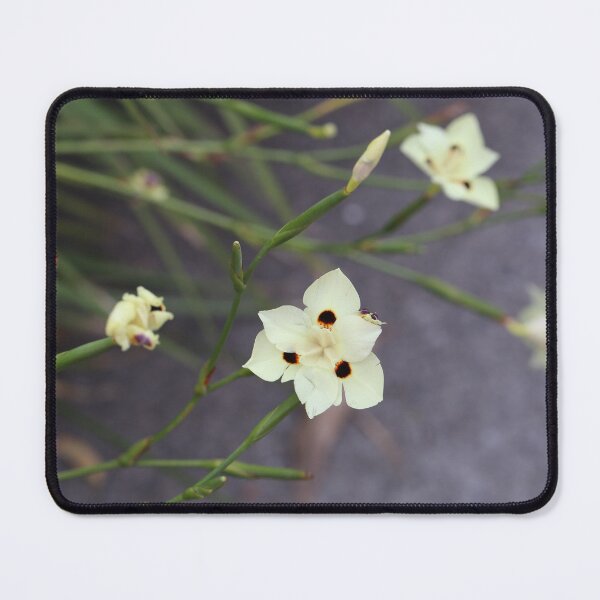 Item preview, Australian Yellow Iris designed and sold by STHogan2.