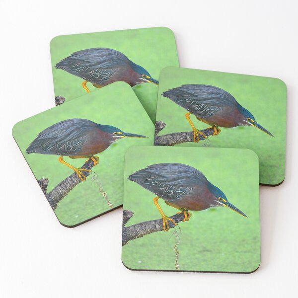 Item preview, Green Heron designed and sold by CloserToTheArt.