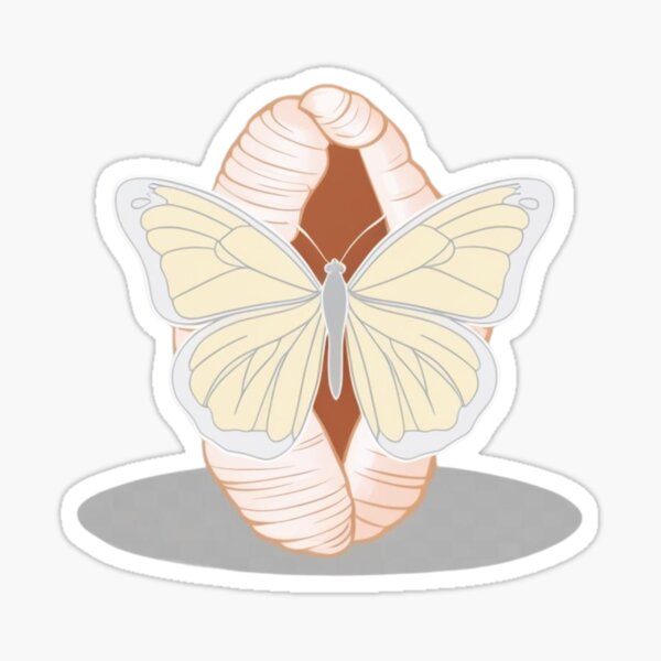Artikel-Vorschau von Wiedergeboren als Schmetterling – Transformation Design, designt und verkauft von StormArte.