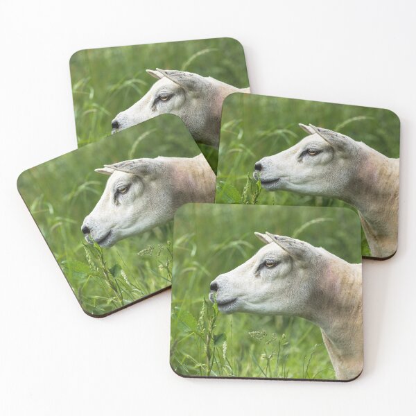 Item preview, Texel Sheep Portrait designed and sold by Jane Stanley Photography.