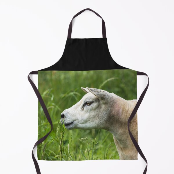 Item preview, Texel Sheep Portrait designed and sold by Jane Stanley Photography.
