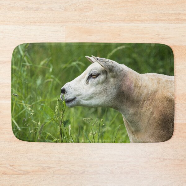 Item preview, Texel Sheep Portrait designed and sold by Jane Stanley Photography.