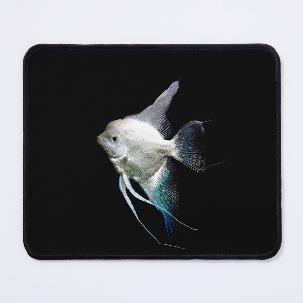 Item preview, Big Angel Fish designed and sold by Maja Andreassen.