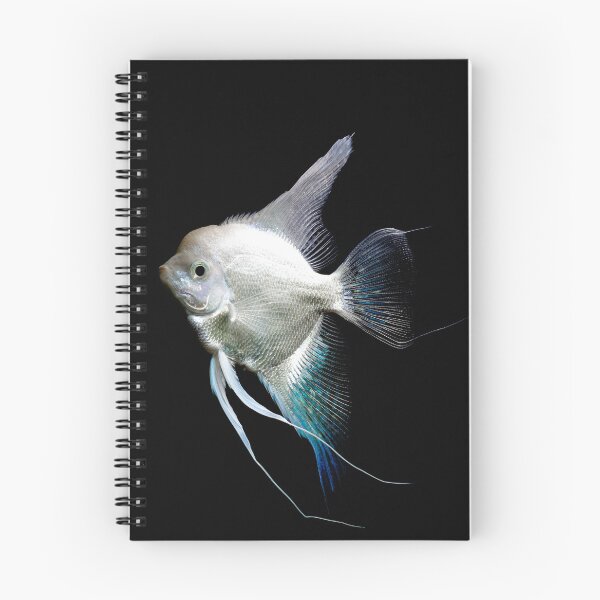 Item preview, Big Angel Fish designed and sold by Maja Andreassen.