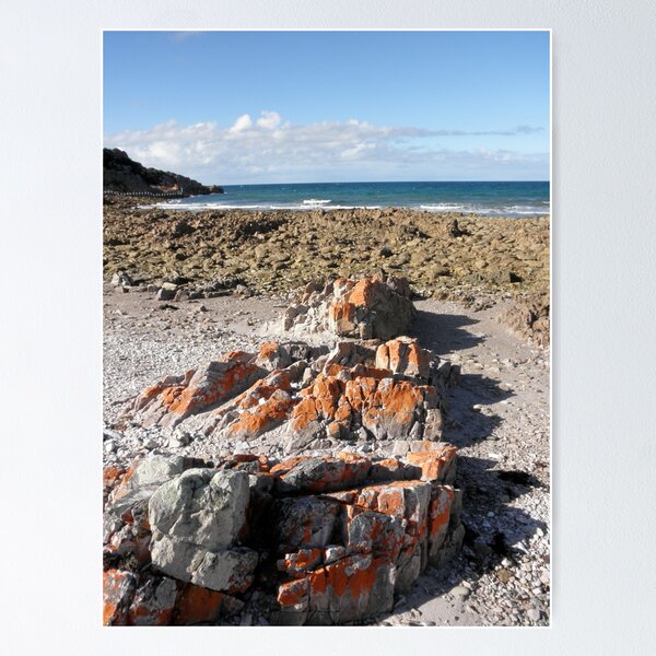 Item preview, Fine Winters Day at Rocky Cape, Tasmania, Australia. designed and sold by kaysharp.