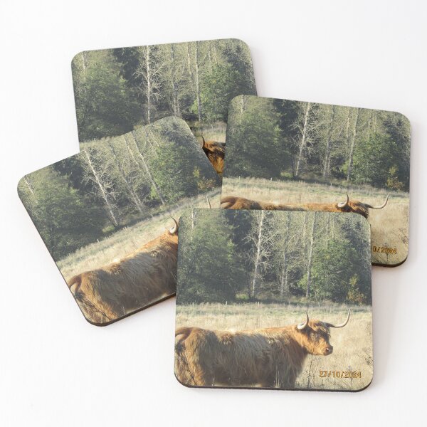 Item preview, proud highland cow In a forest clearing designed and sold by Jampsphotos.