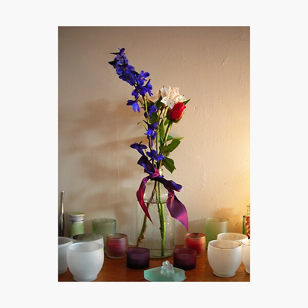 Rose in Vase Photographic Print