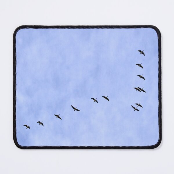 Item preview, North is waiting. Gray geese designed and sold by Jouko Lehto Photography.