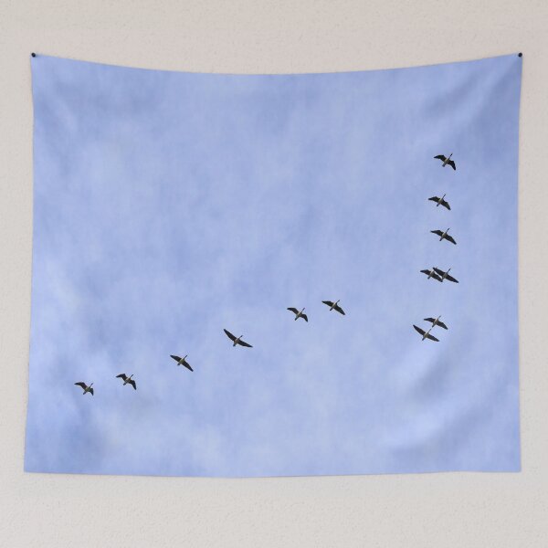 Item preview, North is waiting. Gray geese designed and sold by Jouko Lehto Photography.
