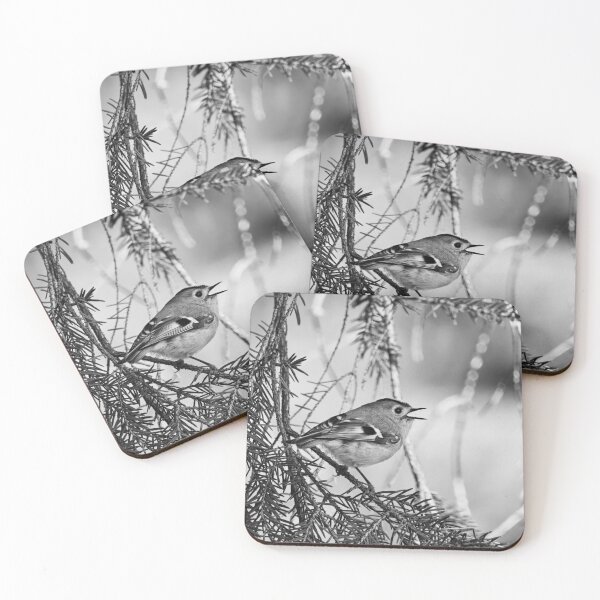Item preview, Singing the heart out. Goldcrest bw designed and sold by Jouko Lehto Photography.