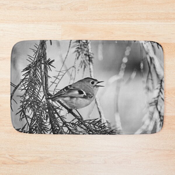 Item preview, Singing the heart out. Goldcrest bw designed and sold by Jouko Lehto Photography.