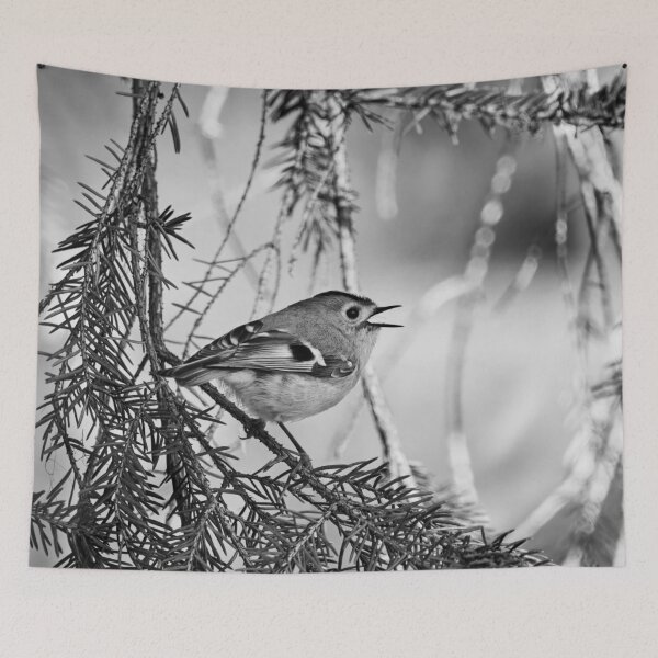 Item preview, Singing the heart out. Goldcrest bw designed and sold by Jouko Lehto Photography.