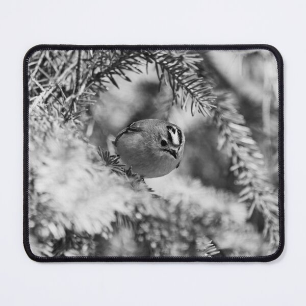 Item preview, Fast and curious. Goldcrest bw designed and sold by Jouko Lehto Photography.