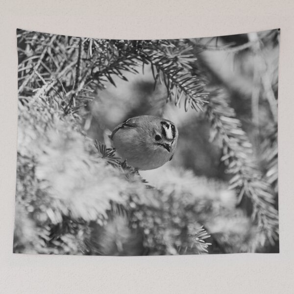 Item preview, Fast and curious. Goldcrest bw designed and sold by Jouko Lehto Photography.