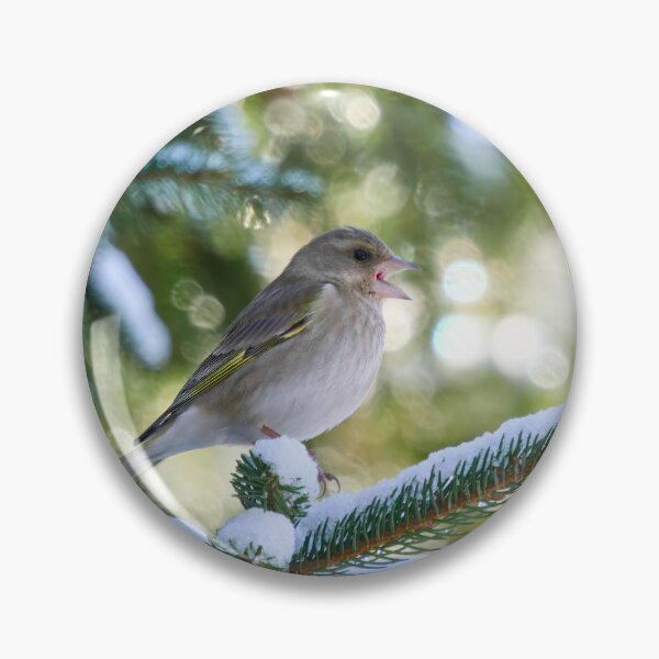 Item preview, Tweets and peeps. Greenfinch designed and sold by Jouko Lehto Photography.
