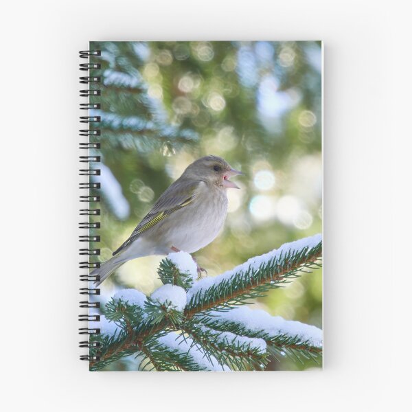 Item preview, Tweets and peeps. Greenfinch designed and sold by Jouko Lehto Photography.