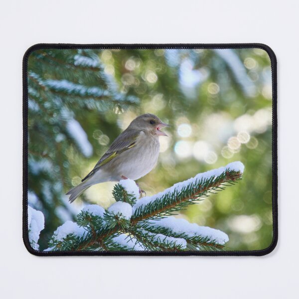Item preview, Tweets and peeps. Greenfinch designed and sold by Jouko Lehto Photography.