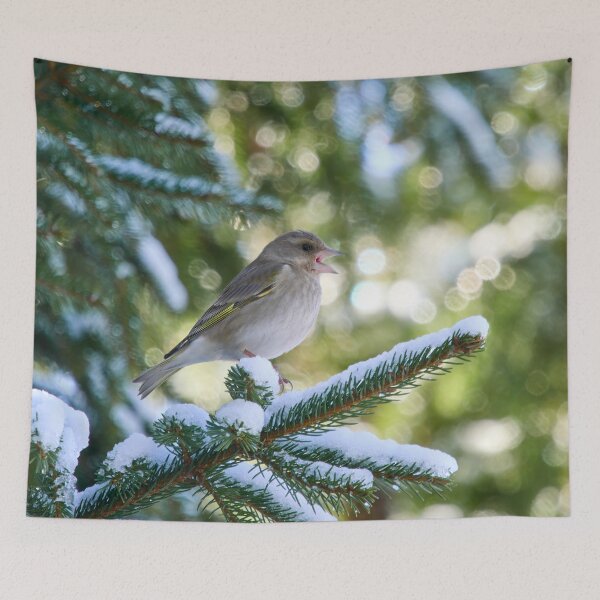 Item preview, Tweets and peeps. Greenfinch designed and sold by Jouko Lehto Photography.