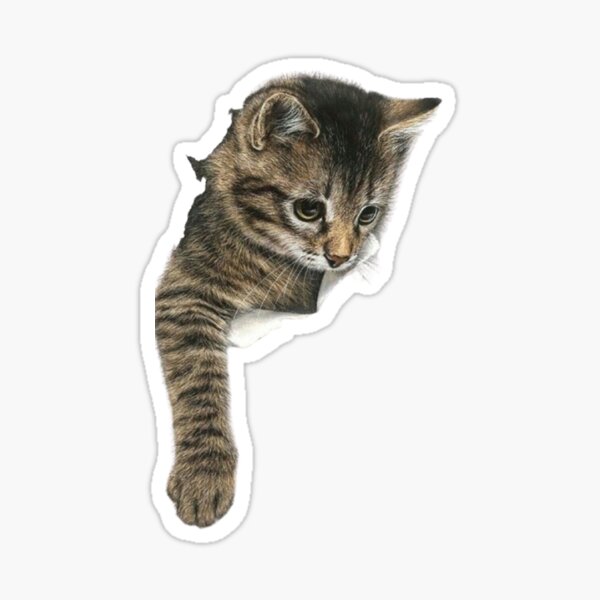Item preview, Peekaboo Kitty – Realistic Tabby Cat Art Print | Cute Animal Lover Gift designed and sold by Shobha ..