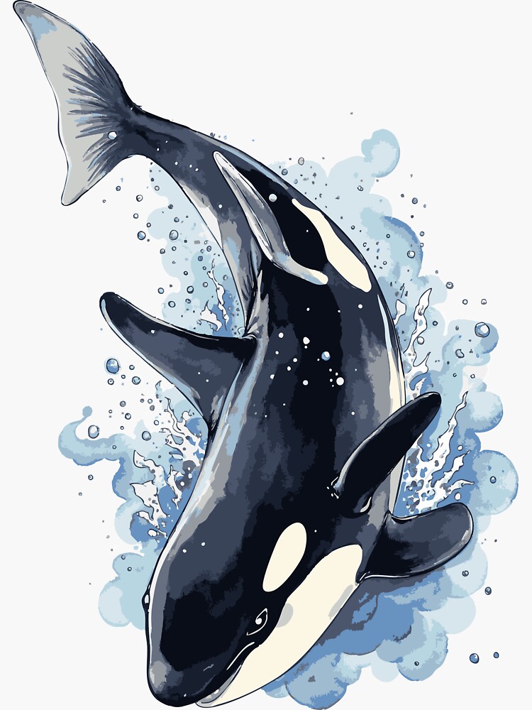 Thumbnail 3 von 3, Sticker, Majestätischer Orca designt und verkauft von Taerachapat.