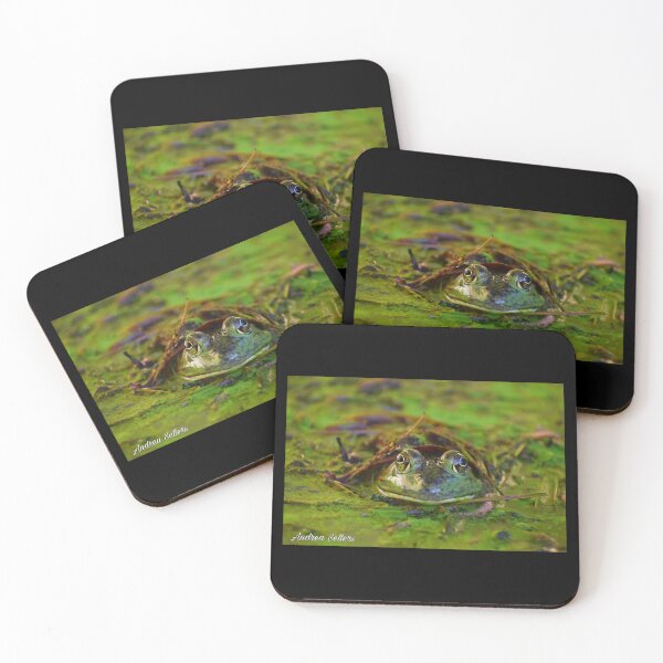 Item preview, Jeremiah the Bullfrog  designed and sold by MrsSellers17.