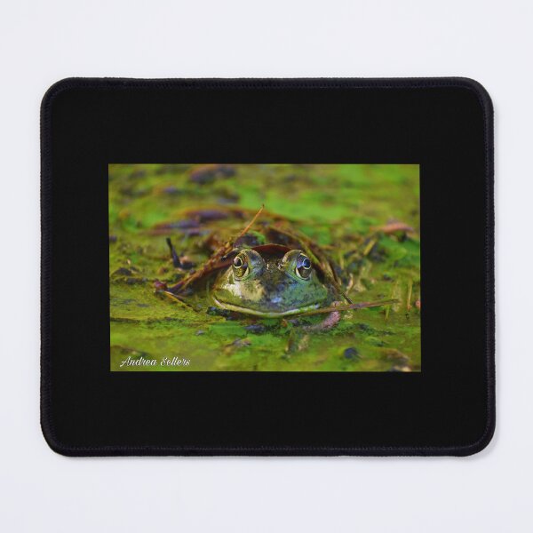 Item preview, Jeremiah the Bullfrog designed and sold by MrsSellers17.
