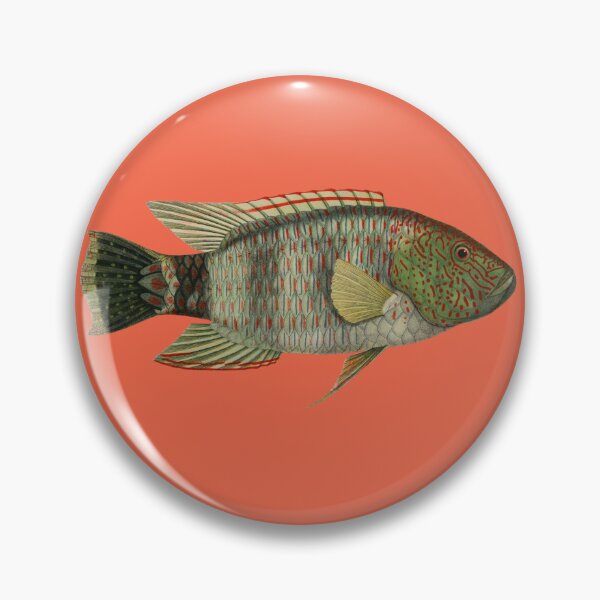 Item preview, Tripletail Wrasse Marine Fish Art designed and sold by IrisAndIvy.