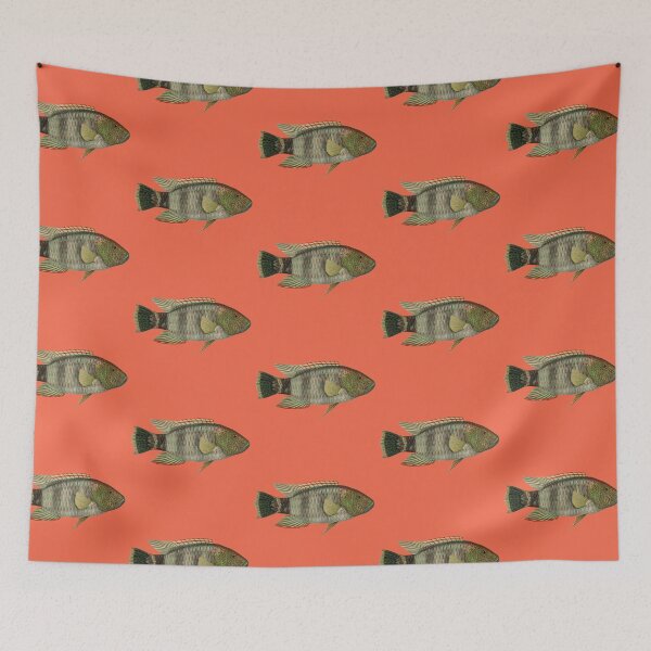 Item preview, Tripletail Wrasse Marine Fish Art designed and sold by IrisAndIvy.