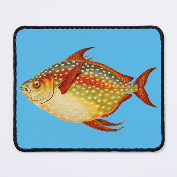 Item preview, Redfin Ocean Pan Fish Art designed and sold by IrisAndIvy.