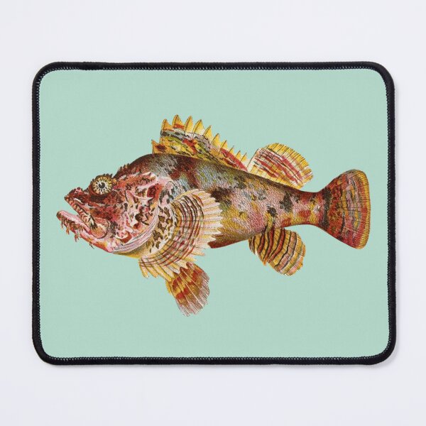 Item preview, Hawaiin Nohu Fish Art designed and sold by IrisAndIvy.