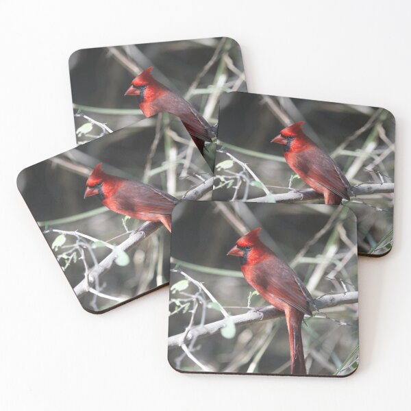 Item preview, Northern Cardinal designed and sold by EnglandEcology.
