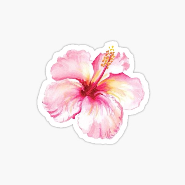 Hibiscus Flower Sticker