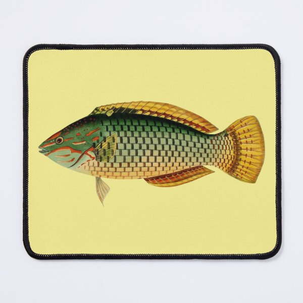 Item preview, Sparus Decussatus Fish of Ceylon Art designed and sold by IrisAndIvy.