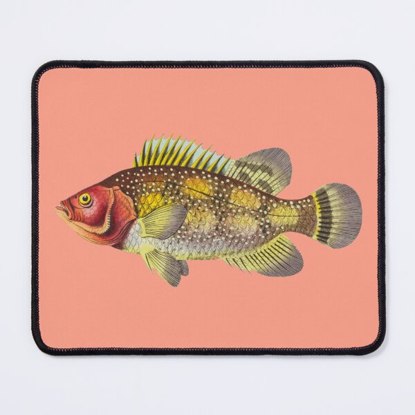 Item preview, Tropical Colourful Fish Art designed and sold by IrisAndIvy.