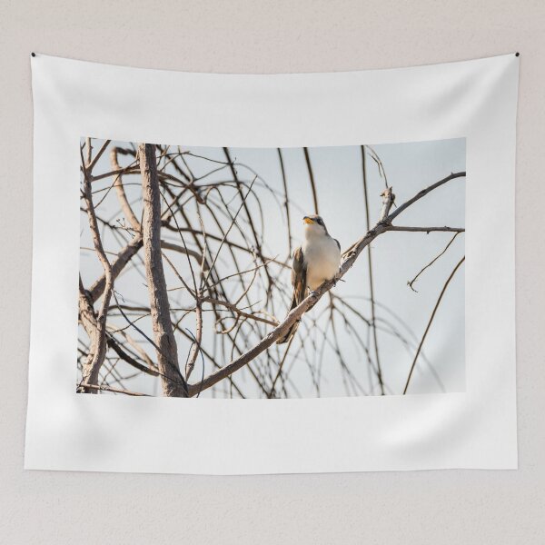 Item preview, Yellow-billed Cuckoo designed and sold by Debra Martz.