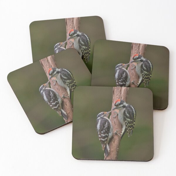 Item preview, Downy Woodpeckers designed and sold by TomCPhoto.