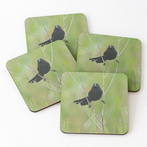 Item preview, Red-Winged Blackbird designed and sold by TomCPhoto.