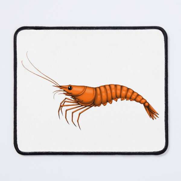 Item preview, SHRIMP (WHITE) designed and sold by Marlon Oseguera.