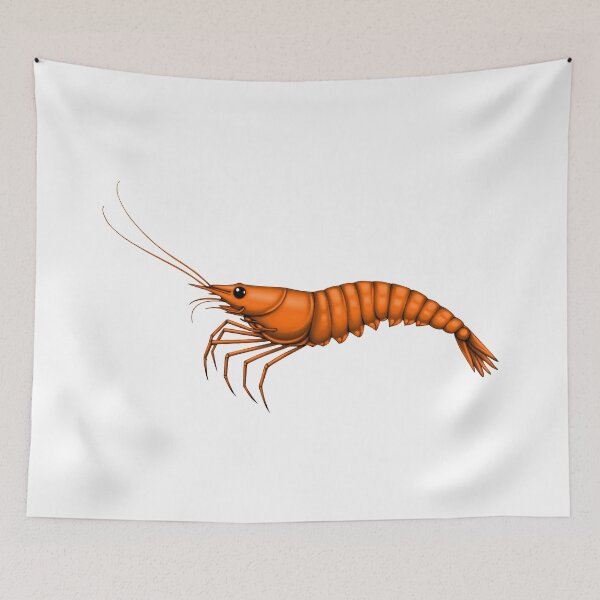 Item preview, SHRIMP (WHITE) designed and sold by Marlon Oseguera.