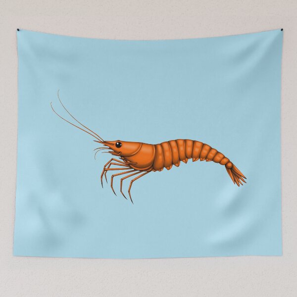 Item preview, SHRIMP (#B1E2F3) designed and sold by Marlon Oseguera.