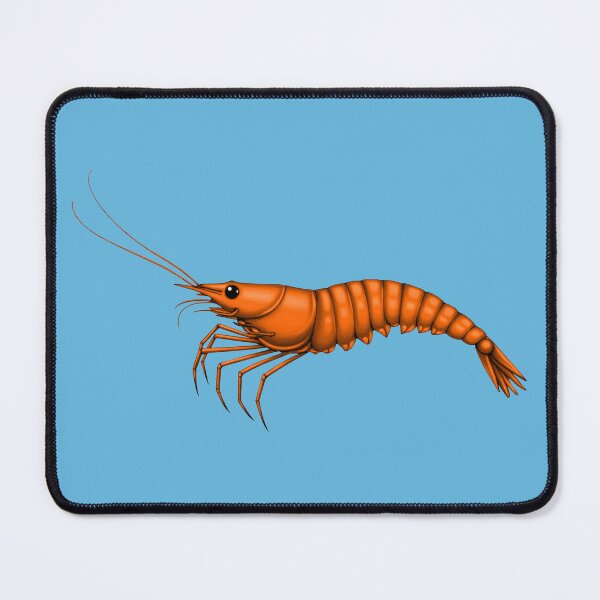 Item preview, SHRIMP (#65B7DD) designed and sold by Marlon Oseguera.