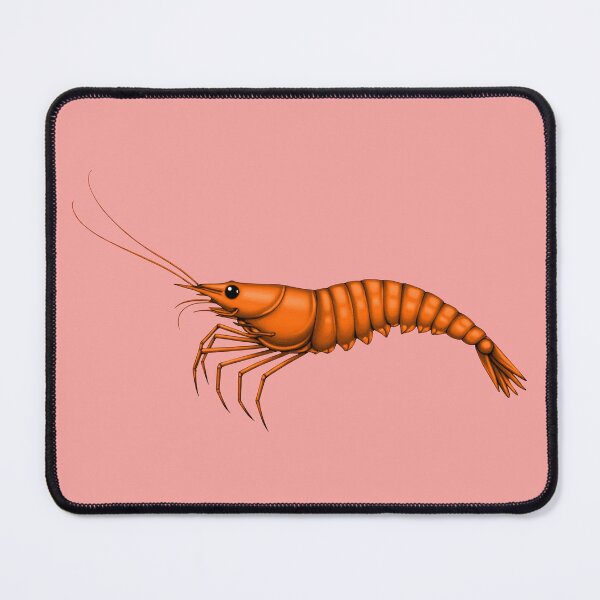 Item preview, SHRIMP (#F7A4A0) designed and sold by Marlon Oseguera.
