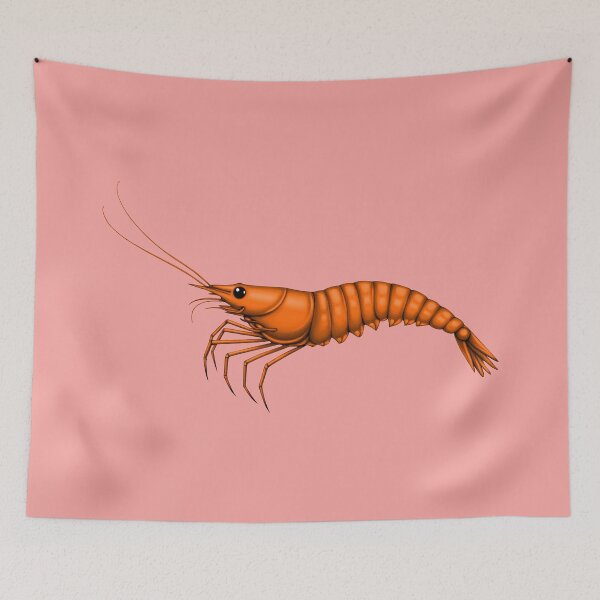 Item preview, SHRIMP (#F7A4A0) designed and sold by Marlon Oseguera.