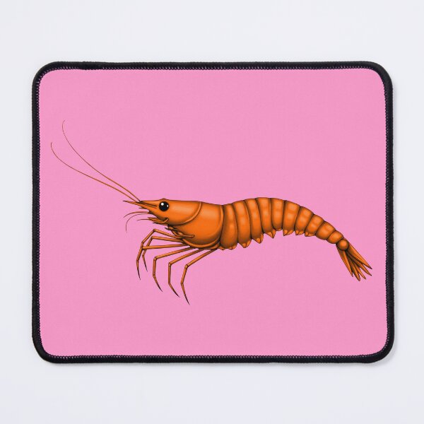 Item preview, SHRIMP (#FF99CC) designed and sold by Marlon Oseguera.