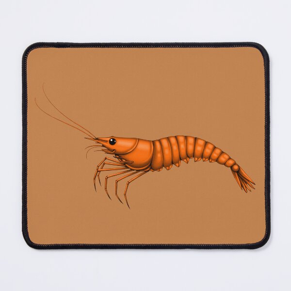 Item preview, SHRIMP (#C68148) designed and sold by Marlon Oseguera.