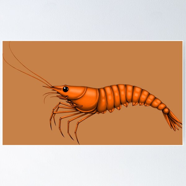 Item preview, SHRIMP (#C68148) designed and sold by Marlon Oseguera.