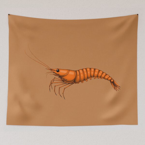 Item preview, SHRIMP (#C68148) designed and sold by Marlon Oseguera.