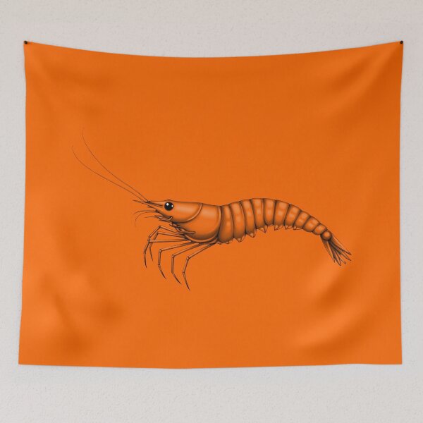 Item preview, SHRIMP (#FF6600) designed and sold by Marlon Oseguera.