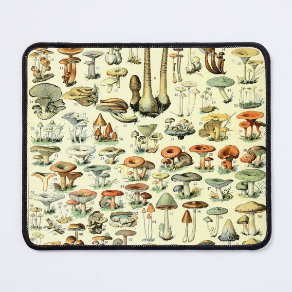 Artikelvorschau, Adolphe Millot Champignons entworfen und verkauft von Gilmour-Prints.